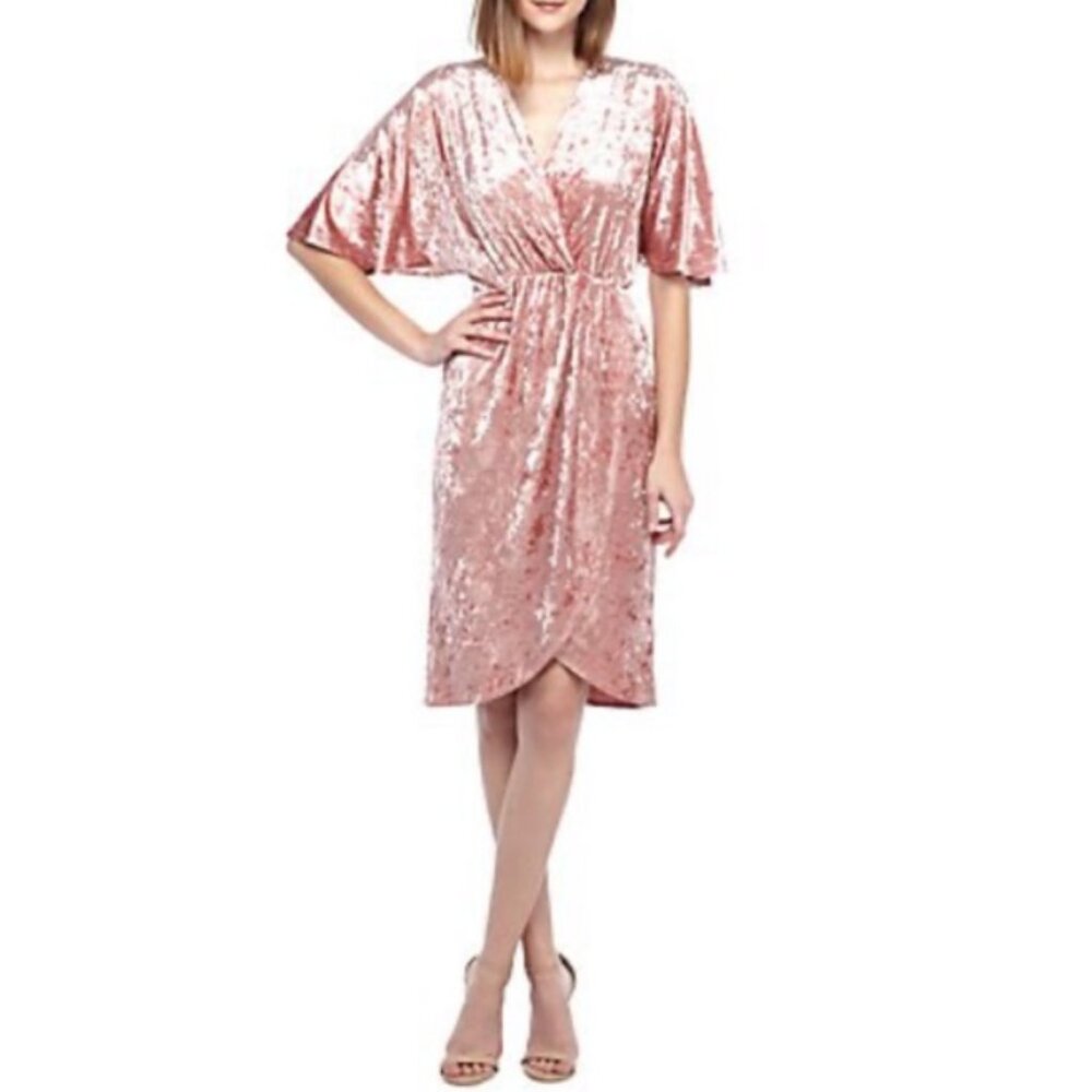 Rabbit Rabbit Rabbit Crushed Velvet Mini Dress in Blush Size 10